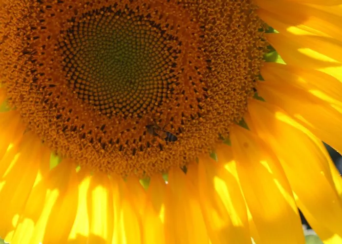 Lantgård Ospitalita' Rurale Casa Cani Berceto