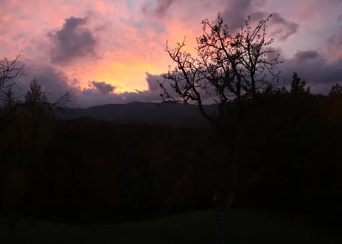 Ospitalita' Rurale Casa Cani