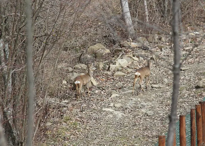 Ospitalita' Rurale Casa Cani *
