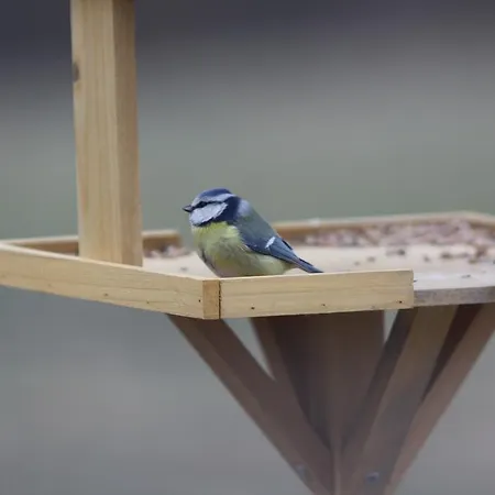 Ospitalita' Rurale Casa Cani *