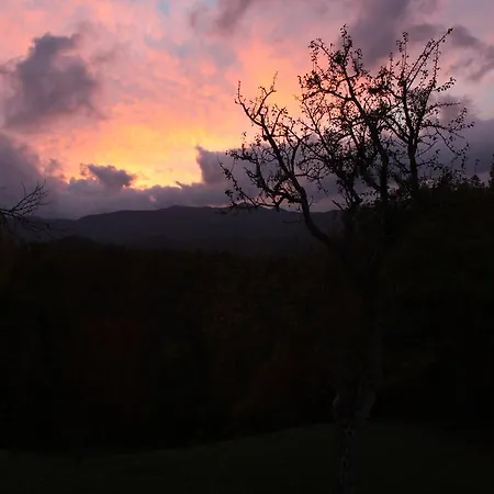 Ospitalita' Rurale Casa Cani