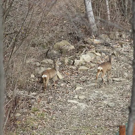 Ospitalita' Rurale Casa Cani *