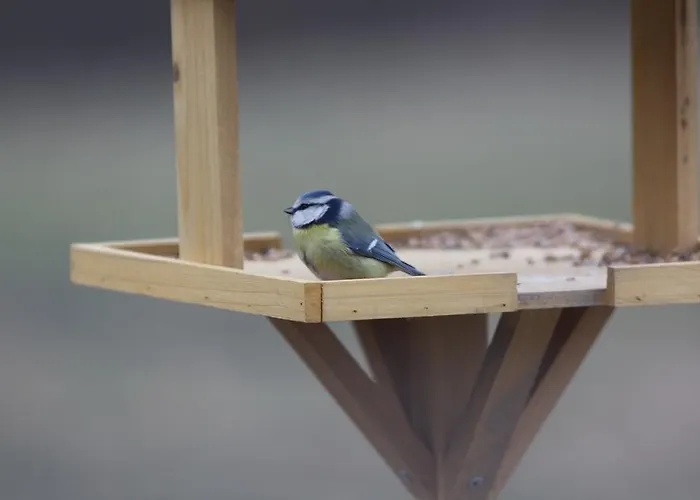 Ospitalita' Rurale Casa Cani *